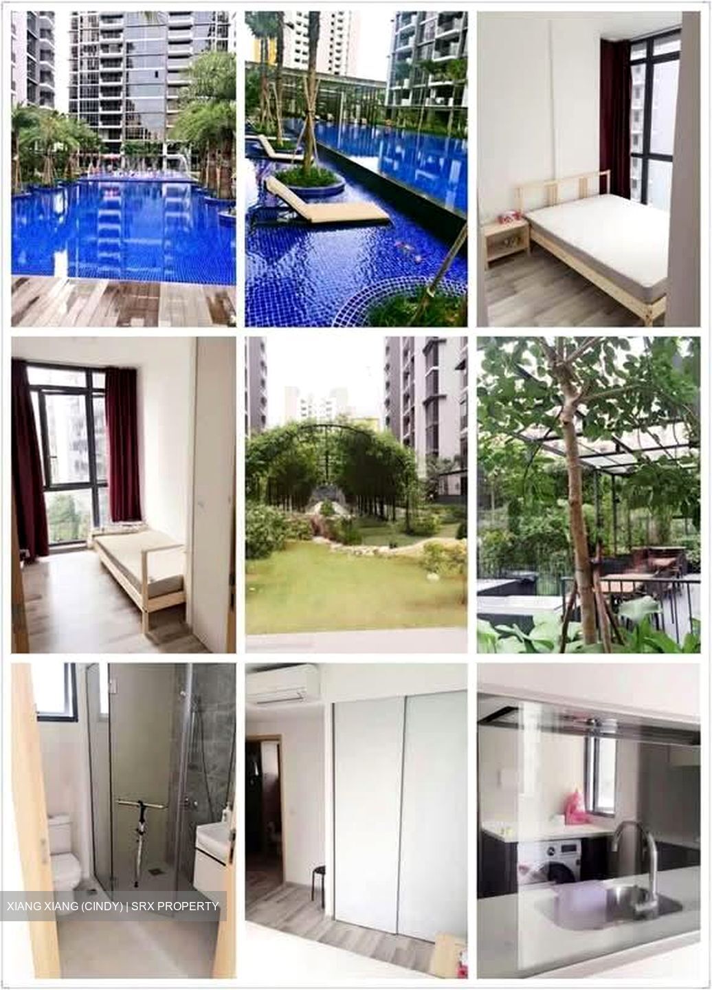 La Fiesta (D19), Condominium #544388721